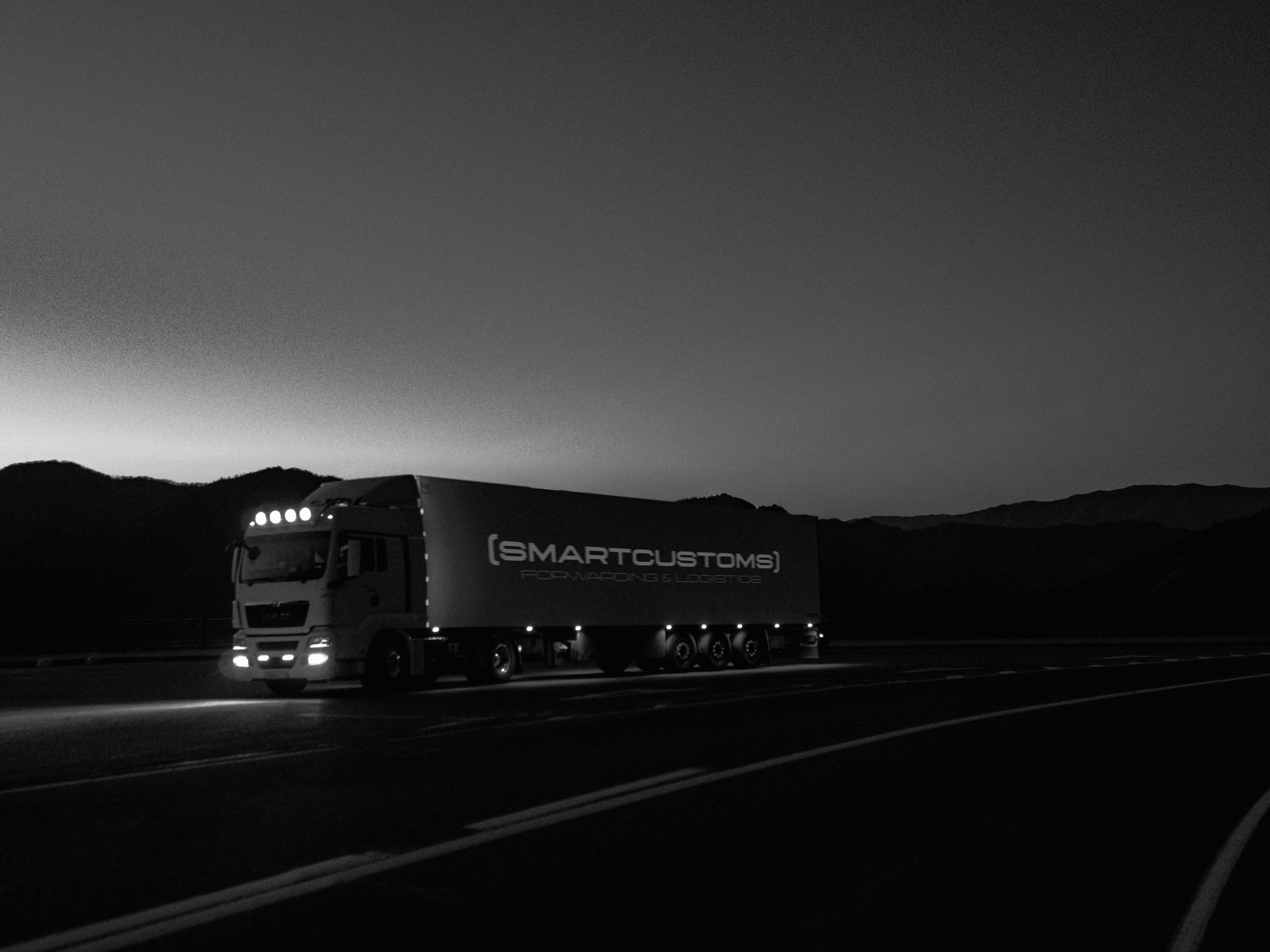 SmartCustoms logistics partnership